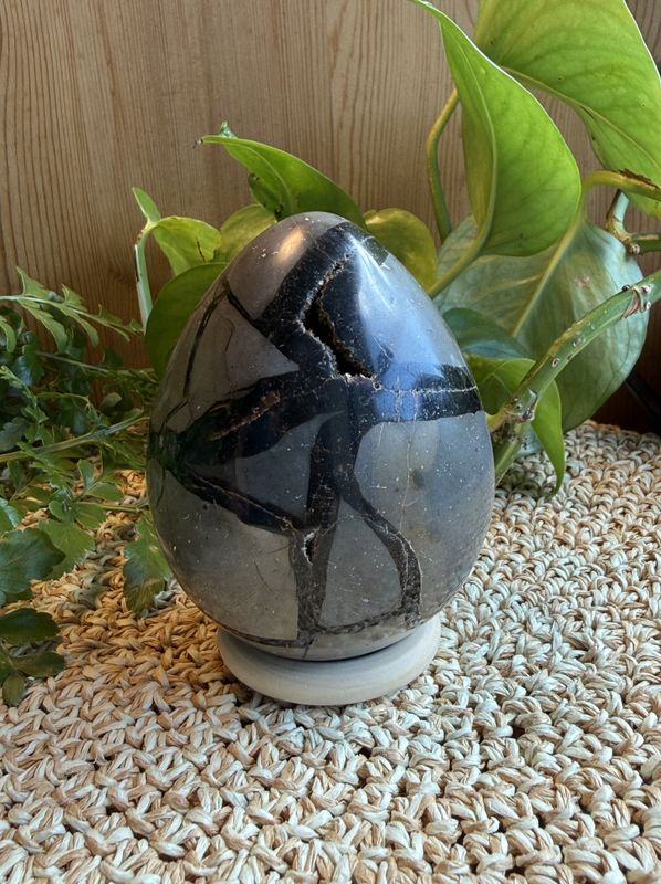 Septarian egg 9-10 cm (#81)