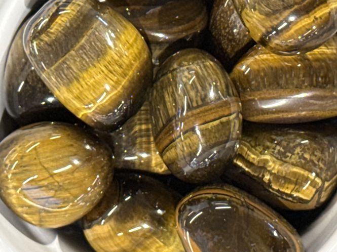 Hovedbilde Tigerøye, medium